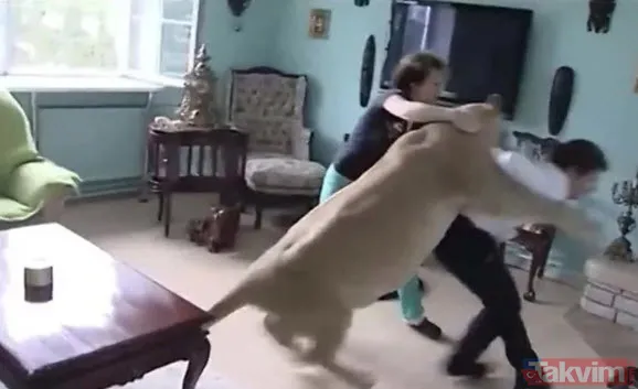 Sadece fotoğraf çektirmek istedi genç kız hayatının şokunu yaşadı! Bir anda üzerine atladı ne var yok... - 9