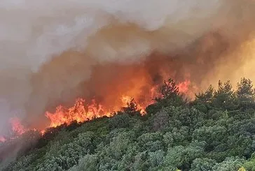 Eceabat’ta orman yangını