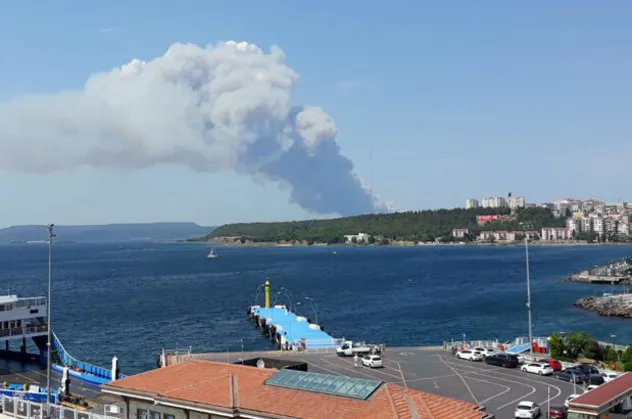 Son dakika: Çanakkale'de orman yangını!