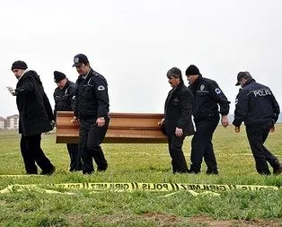 Eskişehir’de sokak köpekleri kadını parçaladı