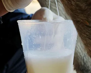 100 liradan satılıyordu, hiçbir şeye faydası olmadığı ortaya çıktı