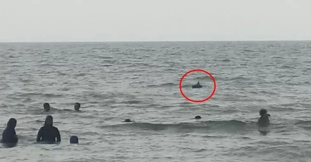 Hatay Samandağ'da denizde panik anları! Eski bir televizyonu mayın sandılar!