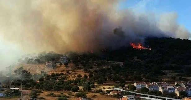 Son dakika... İzmir Dikili’de orman yangını