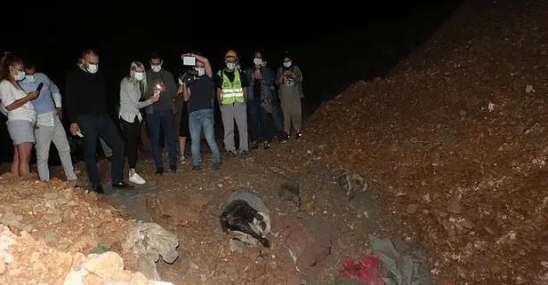 Altındağ’da korkunç manzara: 11 köpek ölü  bulundu! Soruşturma başlatıldı