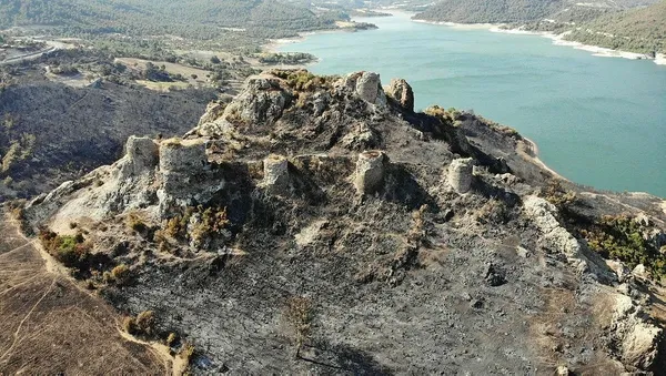 1693192952185.jpeg CHP'li Çanakkale Belediye Başkanı Ülgür Gökhan yeni bir skandala imza attı! Yangından kaçtı düğüne koştu! Utanmadan üzerine paylaşım yaptı-3