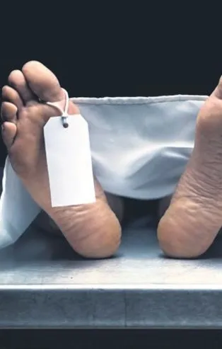 Prof. Dr. Nihat Hatipoğlu kaleme aldı: Keşke demeniz fayda sağlamayacak