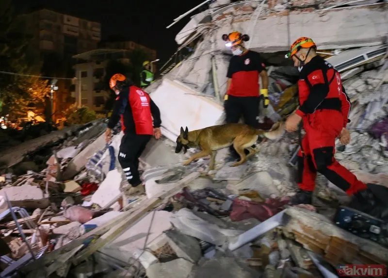 İzmir�deki 6,6 büyüklüğündeki deprem sonrası arama kurtarma köpekleri