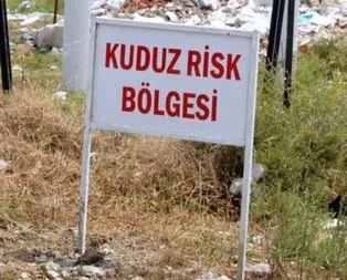 Denizli’de 5 mahallede kuduz karantinası