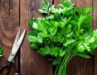 Karaciğere maydanoz