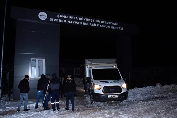 esek-donduran-soguk-sanliurfa-siverekte-esekler-toplanip-barinaga-goturuldu-1642749567389.jpg Eşek donduran soğuk! Şanlıurfa Siverek'te eşekler toplanıp barınağa götürüldü-9