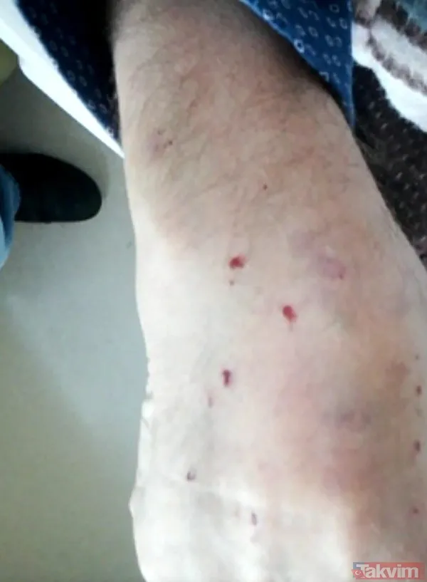 CHP'liler üzgün! Çakma Atatürk Göksel Kaya eşinden şiddet gördü: Eşim 'Geber' dedi, yumruk ve tekme attı - 8