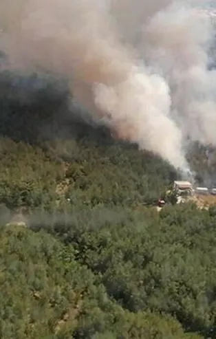 İzmir'de korkutan yangın!