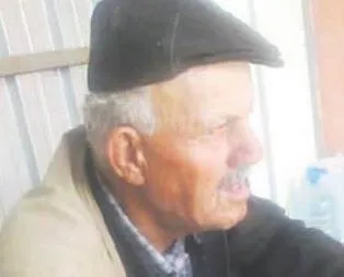 Katil arılar