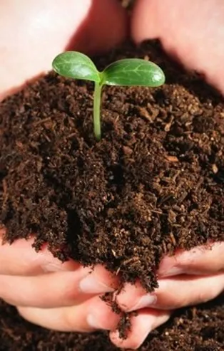 Rüyada toprak görmek ne anlama gelir?