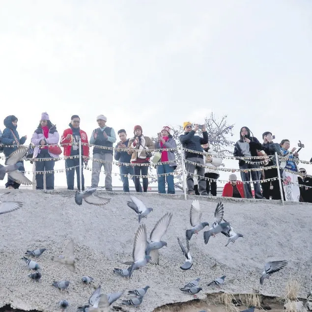 Ortaokul mezunu 9 dil biliyor