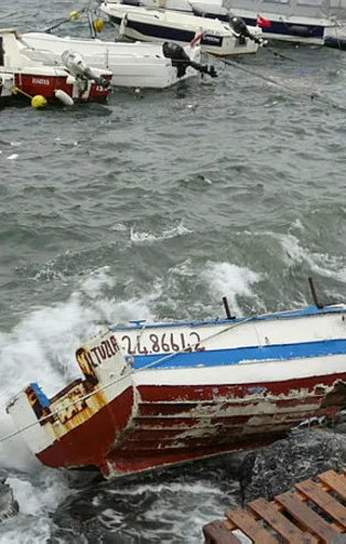 İstanbul'da lodosun acı bilançosu açıklandı: 4 kişi öldü, onlarca çatı uçtu ve 100'den fazla ağaç devrildi...