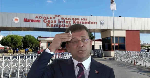 Asrın yolsuzluğunda 5. celse! İBB vurguncuları savunma verecek | Ağaç A.Ş'den SİSTEM'e akan rüşvet paraları