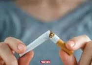 En ucuz sigara hangisi? Hangi sigaralara, kaç TL zam geldi? Winston Slender blue, Kent, Rothmans, Camel, Medley yeni fiyat listesi