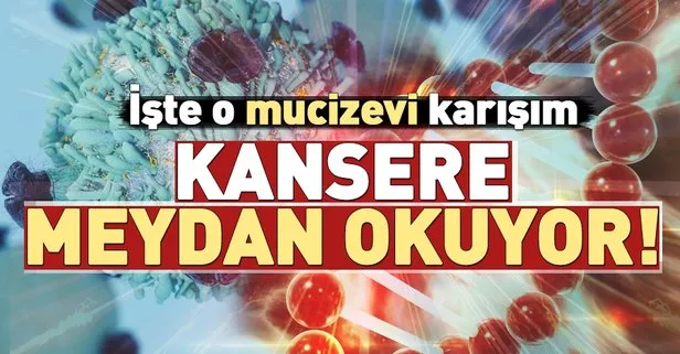 Kansersavar Uclu Pancar Elma Havuc Sanal Basin
