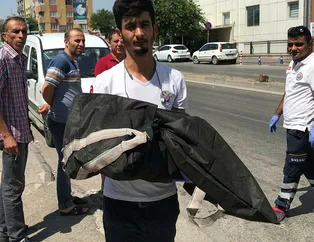 Korkunç olay! Ayakkabı kutusunun içinden çıktı