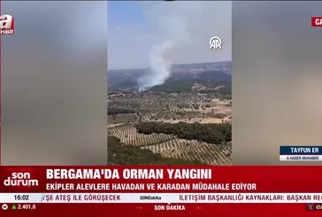 Bergama'da orman yangını!