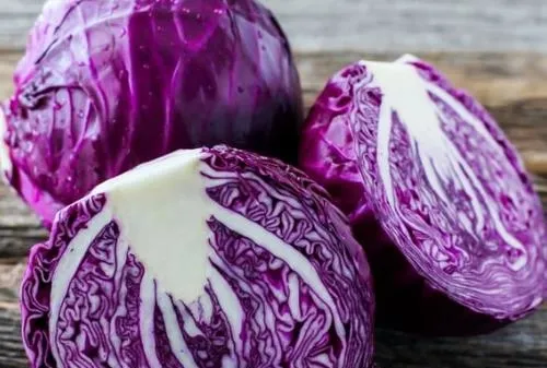 Sivilcelere mor lahana