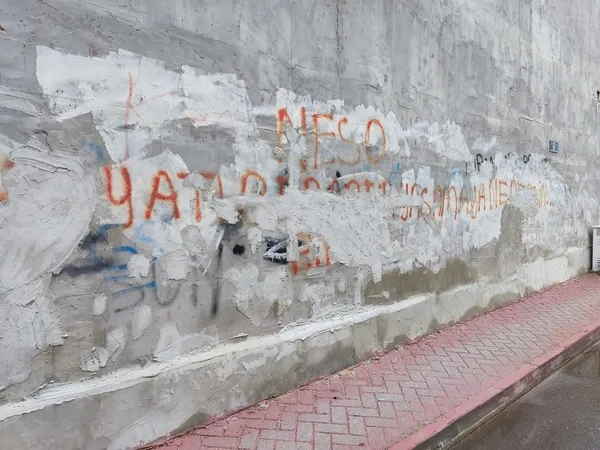 vatandaslar-kufurlu-duvar-yazilarindan-bikti-1636272329912.jpg Vatandaşlar küfürlü duvar yazılarından bıktı!-3