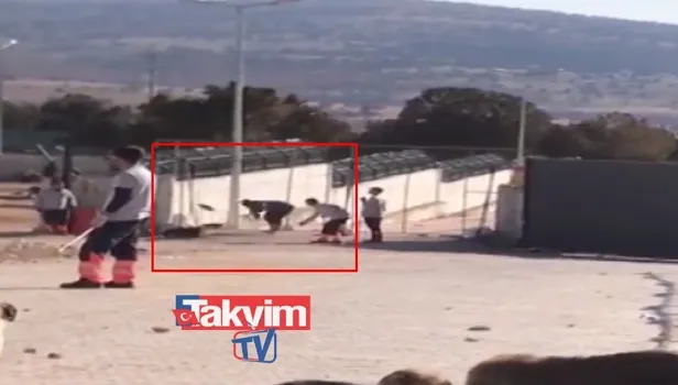 Konya'da köpek katliamı! Hayvan barınağında köpeğe eziyet videosu infial yarattı! Köpekleri katleden caniler yakalandı!