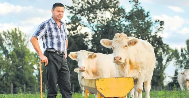 11 yıllık kısır inek davası! Mahkeme çiftçiyi haklı buldu