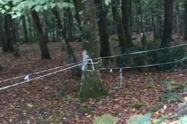 Belgrad Ormanı’nda 'Kaşıkçı' araması