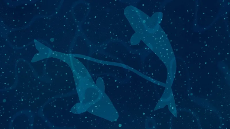 en-tutumlu-3-burc-belli-oldu-bir-kurus-harcamazlar-1743853606738.jpeg (Takvim Foto Arşiv)