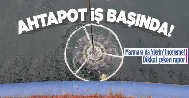 Marmara Denizi'nde derin müsilaj incelemesi! Ahtapot cihazı iş başında!