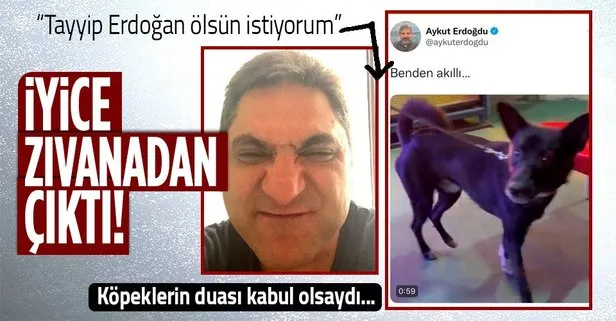 CHP’li Aykut Erdoğdu paylaştığı köpek videosu ile haddini aştı! Tayyip Erdoğan ölsün istiyorum