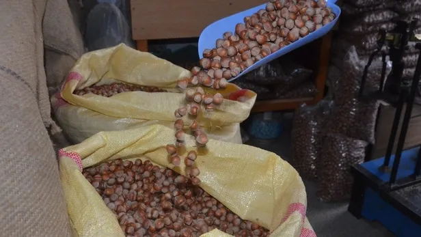 Fındık fiyatları ne zaman açıklanacak? İllere göre 2021 Fındık taban fiyatları belli oldu mu? İşte güncel durum...-3