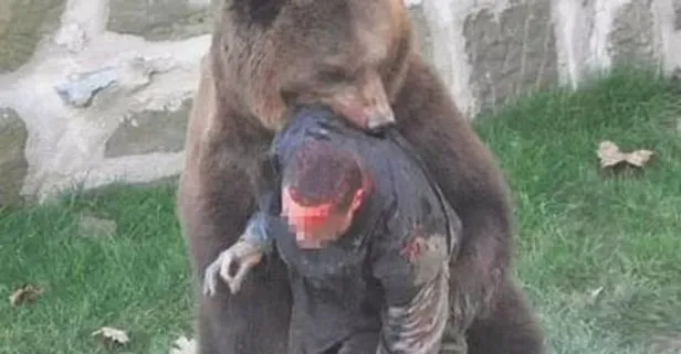 İsviçre’de dehşet anları! Genç adam ayı saldırısına uğradı