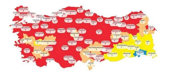 Şırnak, salgına karşı bilinçli davrandı Türkiye'nin tek mavi ili olmayı başardı (Koronavirüs haberleri)-11