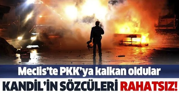 HDP yine teröre kalkan oldu! TBMM’de ’Kobani soruşturması’ provokasyonu