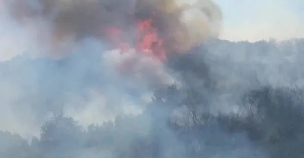 Son dakika: Kocaeli’nin Gölcük ilçesinde yangın! 20 dönüm ormanlık alan zarar gördü