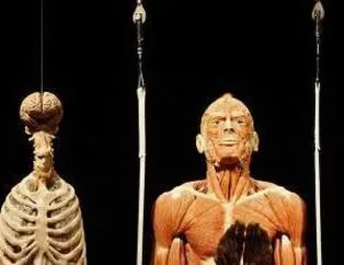 Böyle Fuar Görmediniz