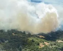 İzmir’de makilik ve orman yangını