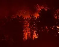 Trabzon Sürmene’de orman yangını!