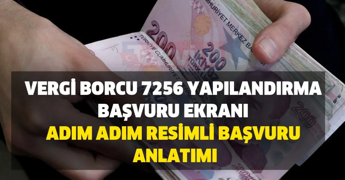 ivd gib gov tr vergi affi borcu 7256 yapilandirma basvuru ekrani iste adim adim resimli basvuru anlatimi ilk taksit ne zaman takvim