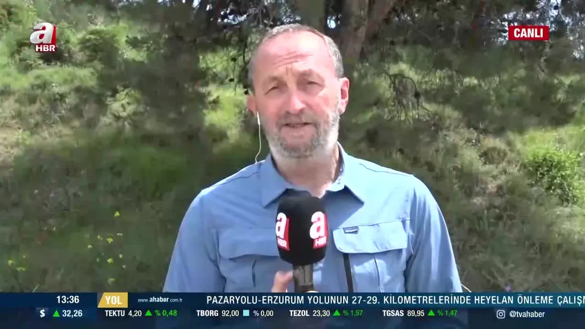 Korhan Berzeg olayında flaş gelişme! 42 plakalı araç ortalığı karıştırdı! Görgü tanıklarının 'yalan söylediği' ortaya çıktı!