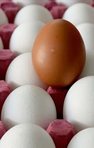 Yumurtada fiyat artışı yok