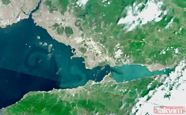 SON DAKİKA: İstanbul'a kadar dayandı: Kocaeli Körfez'de deniz turkuaz renge döndü! TÜBİTAK numune aldı - 5