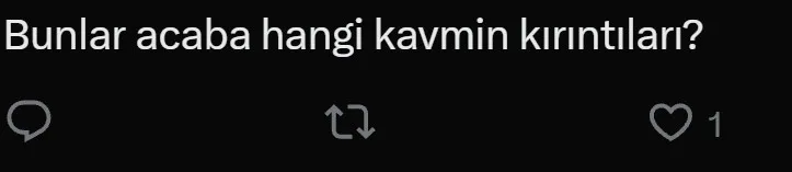 1791383992893.jpeg Çankaya'da sokak köpekleri provokasyonu: "Havla" diye bağırıp mama serptiler-5