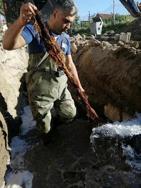 manisanin-saruhanli-ilcesinde-sularin-az-akmasinin-nedeni-5-metrelik-kunduz-cikti-1606131787142.jpg Manisa'nın Saruhanlı ilçesinde suların az akmasının nedeni 5 metrelik kunduz çıktı-2