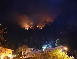 Bartın’da korkutan orman yangını!