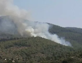 Muğla’da orman yangını