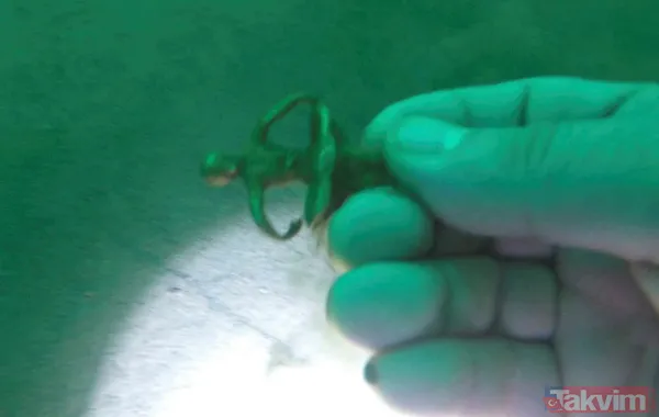 Trabzon'da 13. yüzyıldan kalma Akçakale Kalesi'nin kalıntıları deniz dibinden çıkarılıyor - 1